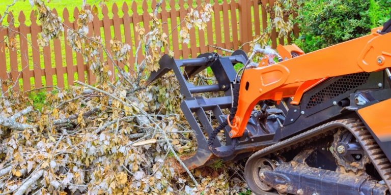 Brush & Vegetation Removal