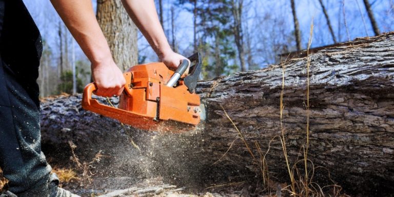 Complete Tree Removal Services