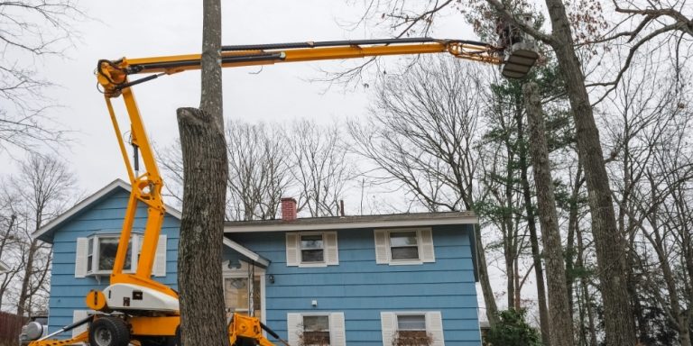 Crane-Assisted Removals For Dangerous Situations