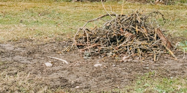 Debris & Brush Cleanup