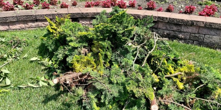 Debris Removal