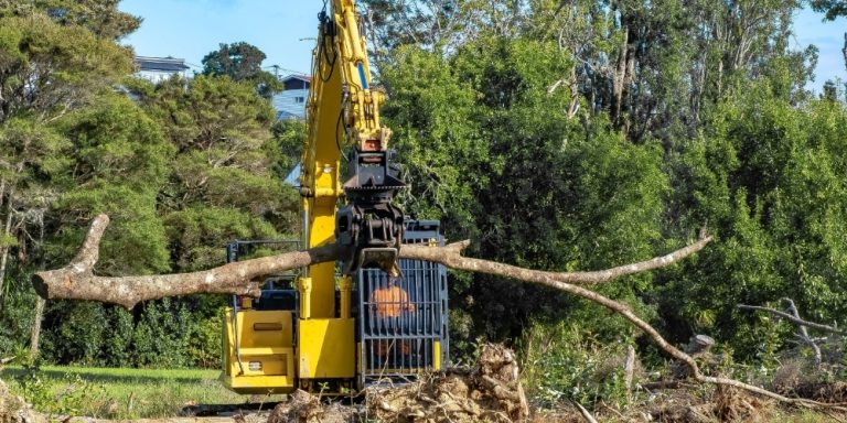 Large & Difficult Tree Removals