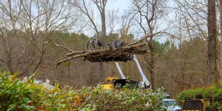 Storm Damage Cleanup