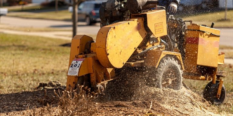 Stump Grinding & Stump Removal
