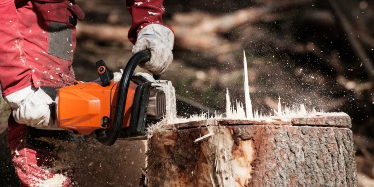 Tree & Stump Removal
