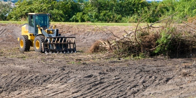 professional lot clearing services
